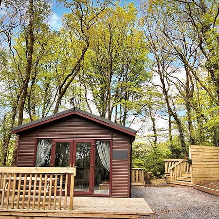 Woodland View -Hot Tub-Tenby-Carmarthen-سانت كليرز المظهر الخارجي الصورة