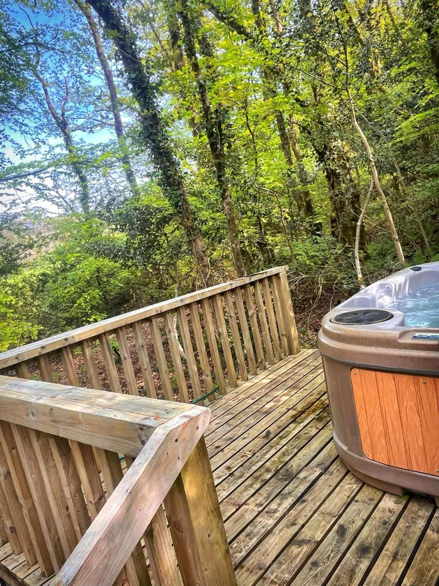 Woodland View -Hot Tub-Tenby-Carmarthen-سانت كليرز المظهر الخارجي الصورة